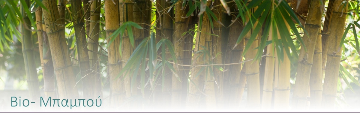 BIO-NEW CATEGORY-bamboo